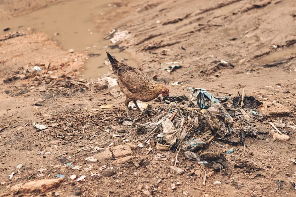 Africa Risks Missing E-Waste Fortune as CSIR Warns of Economic Consequences