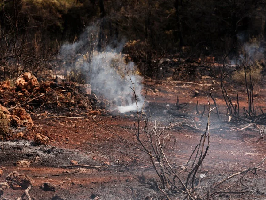 Alice Springs Unrest Triggers Business Alerts After Arrests