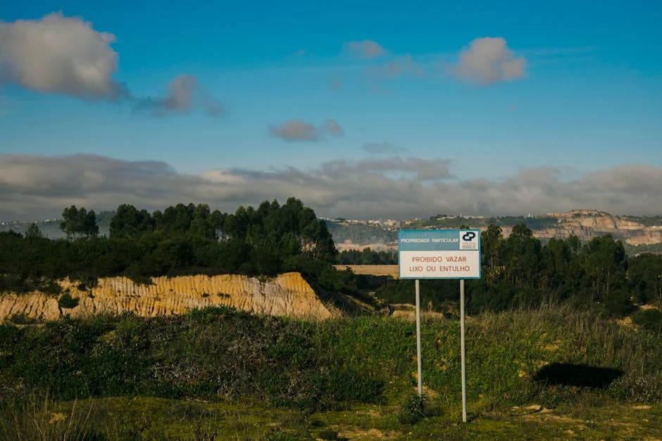 Amorim Snubs Pizzi and Horta — Portugal's Market Value Drops