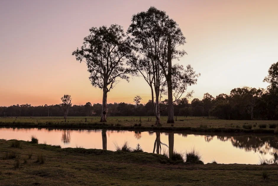 Australia Misses $160m River Project Deadline — Wetlands at Risk