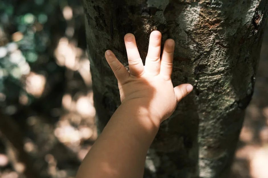 Australia Slams X With Record Fine Over Child Safety Laws — Economy Business