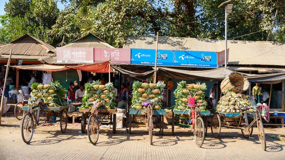 Bangladesh Halts Border Trade — Hakimpur Chaos Triggers Supply Chain Fears — Technology Innovation