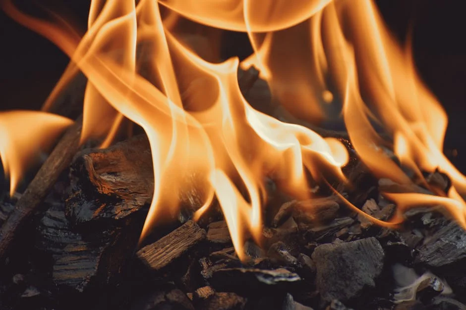 Bengaluru Woman Accused of Burning Lover Alive in Foreign-Linked Crime