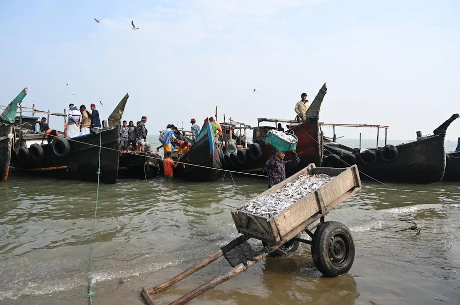 BJP's Bengal Victory Triggers Market Shift