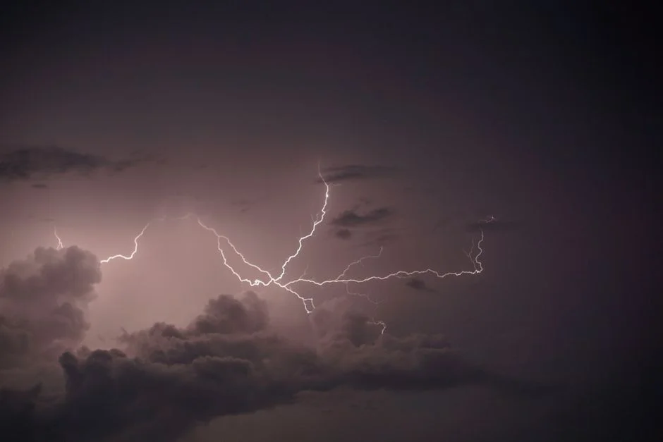 Buttler's Lightning Stumping Exposes the High Stakes of Modern Cricket — Education