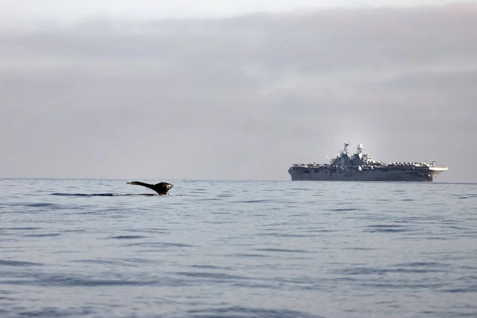 China Expands Military Presence in Pacific Village — Investors Brace for Impact