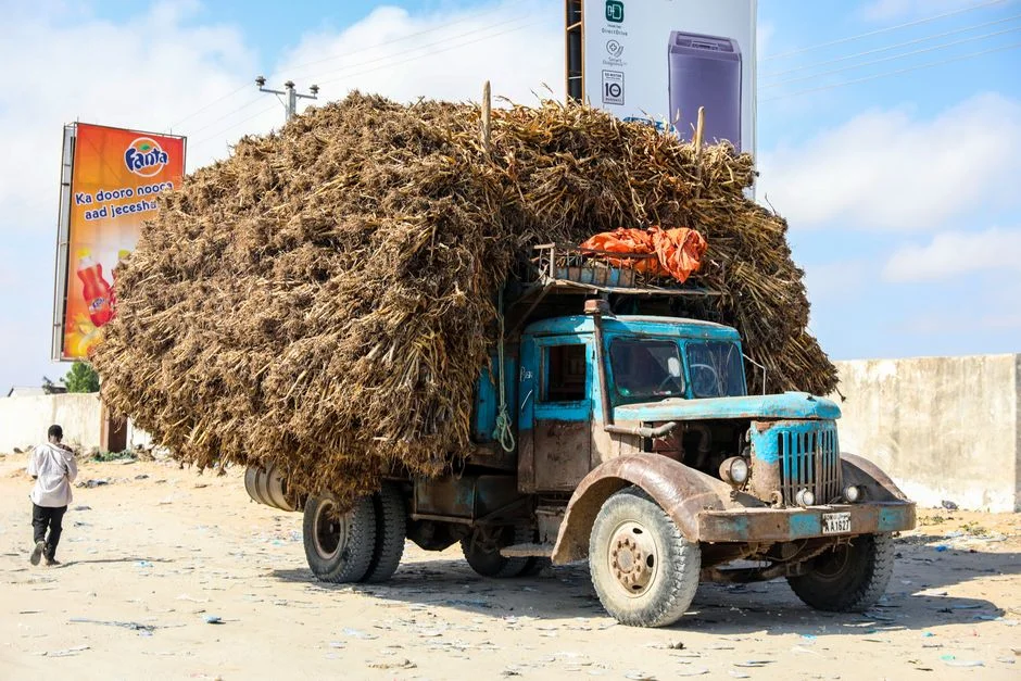China's Electric Trucks Surge Into Africa — Here's What's Driving the Export Push — Environment Nature