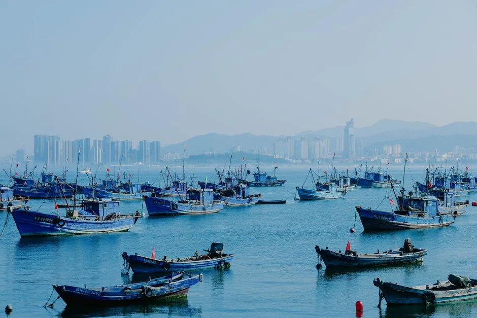 China's Industrial Activity Slumps to Brink of Contraction — What This Means for Investors