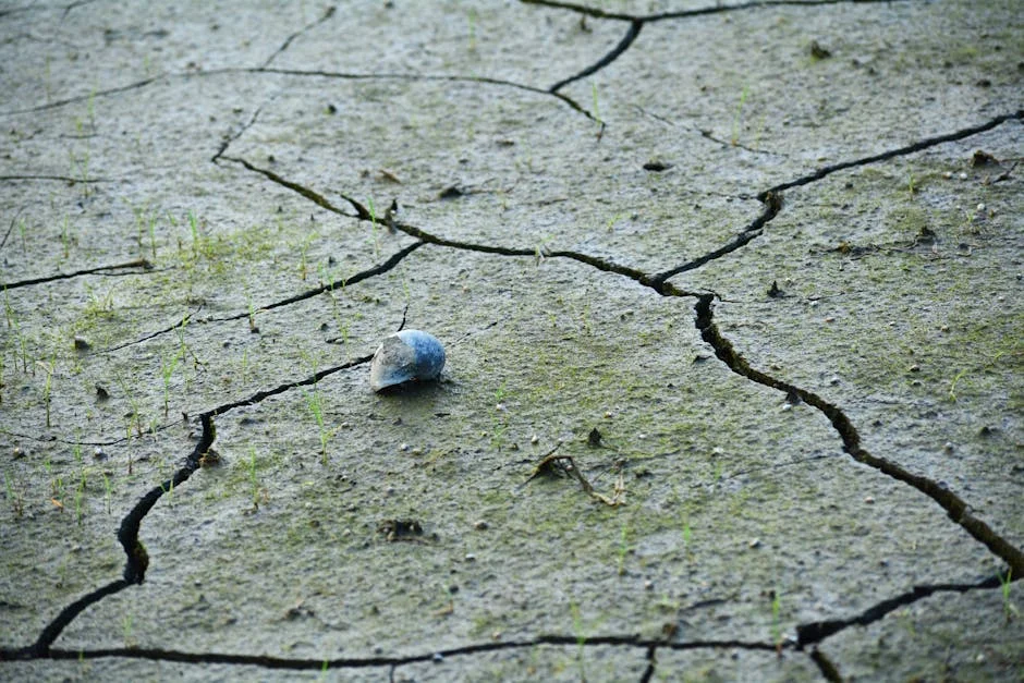 CSIRO Job Cuts Trigger Climate Data Crisis for Australian Markets