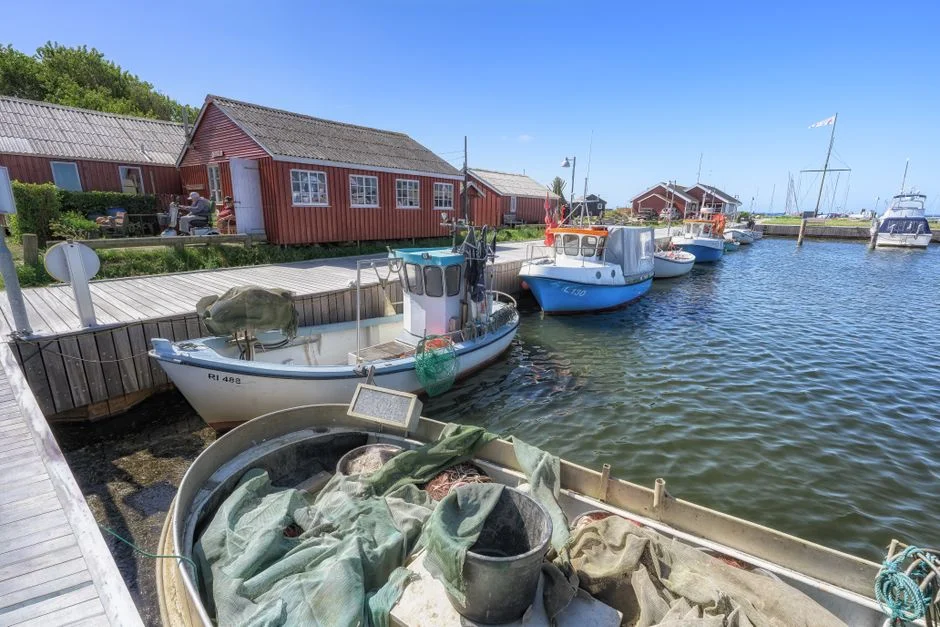 Danish TechBBQ Wins Grant to Channel Nordic Capital into African Startups — Culture Arts