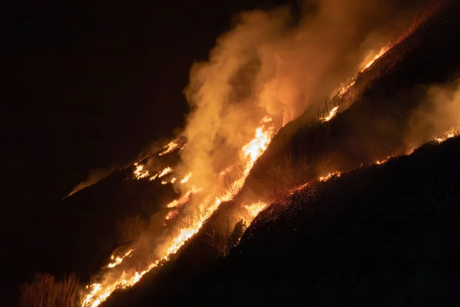 El Niño Confirmed — Record Heat Threatens Global Food Prices and Energy Demand