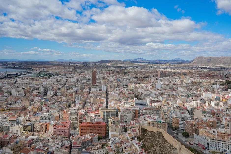 Elche CF Faces Financial Crisis — 18 Million Euro Gamble Threatens Survival — Economy Business