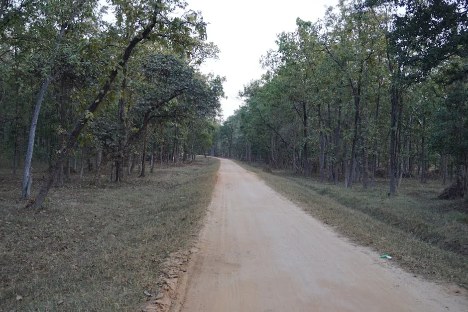 Forest Department Scandal Shakes Banjara Hills — Investors Eye Economic Fallout