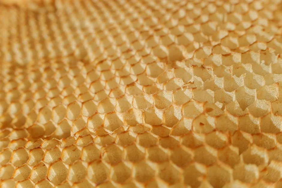 Green Technologies and Hexagon Nutrition Launch IPOs — What's Next for Investors? — Health Medicine