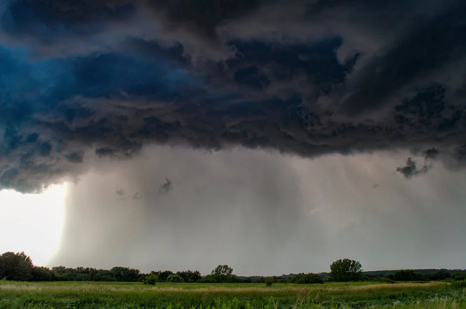 Illinois Storms Devastate Homes, Disrupting Local Economy — Implications for SG