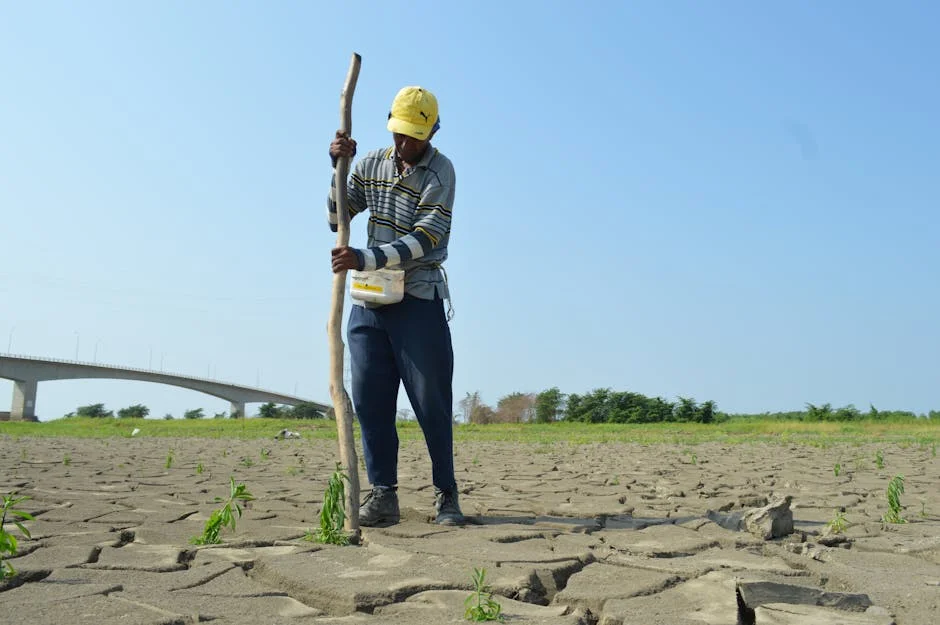 IMD Confirms El Nino Impact on India — Markets Brace for Disruption — World Affairs