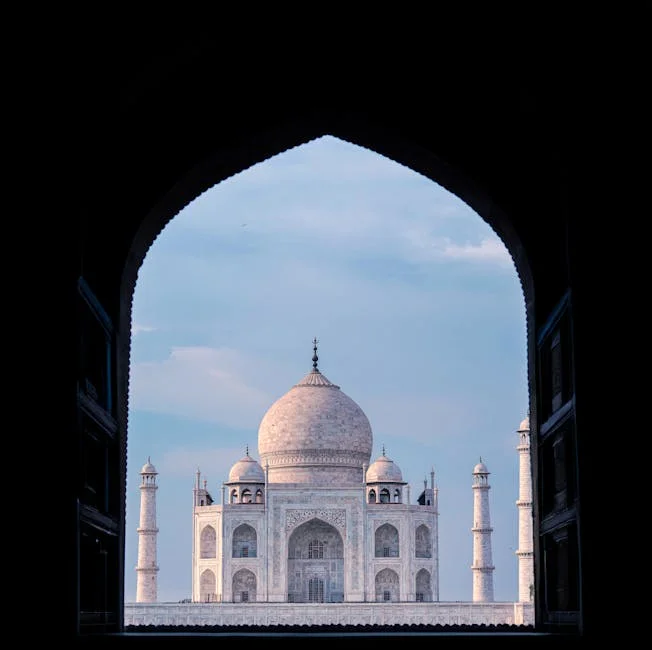 India Beats New Zealand in T20 World Cup Final — Cricket's $3 Billion Economy on Display — Education