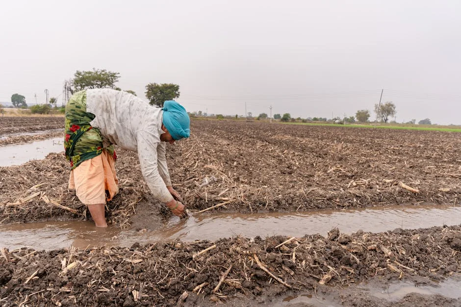 India Declares Soil Crisis — Taxpayers Face Growing Agricultural Bill
