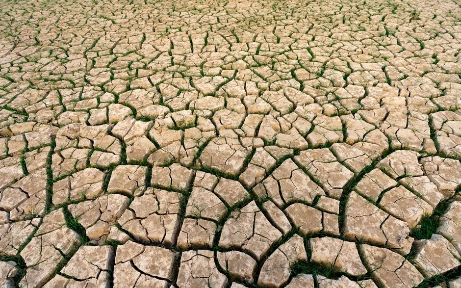 India Faces Driest June in 123 Years — Amit Shah Launches Emergency Monitoring — Environment Nature