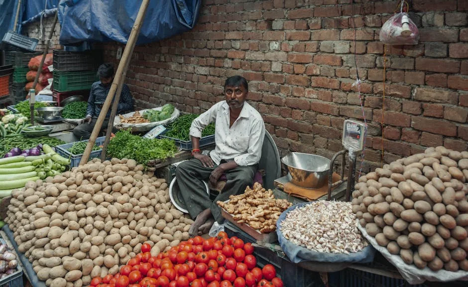 India Heatwave Triggers Market Volatility And Supply Chain Disruptions — World Affairs