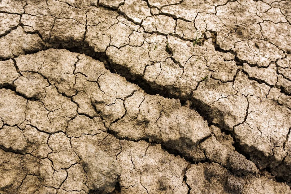 India Heatwave Triggers Market Volatility — Supply Chains Disrupted — Politics Governance