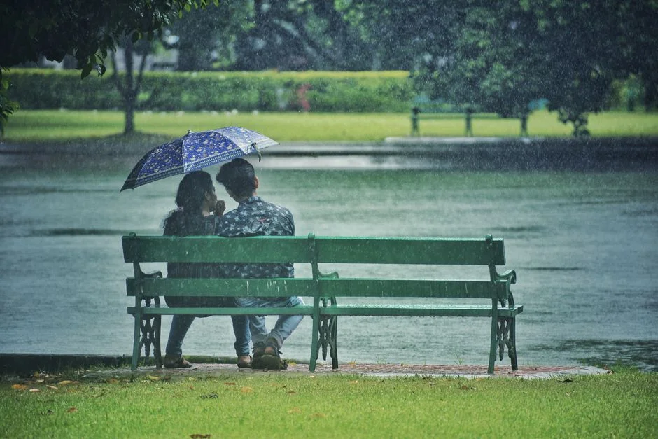 India Monsoon Delay Triggers Water Crisis — Markets on Alert — Environment Nature