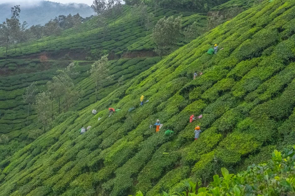 India Reforms Leave Rules — Workers Gain 10 Days Extra Holiday