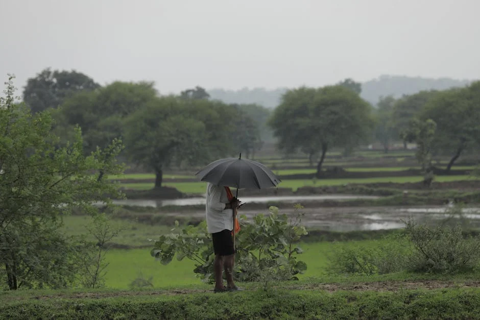 India Shifts from Heatwave to Rain and Hailstorm Alerts — What’s Next?