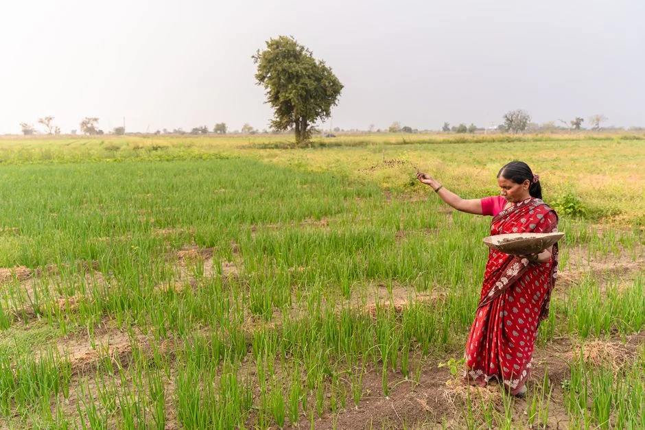 India to Lead Seed Rights, Digital Agriculture Under BRICS Indore Declaration