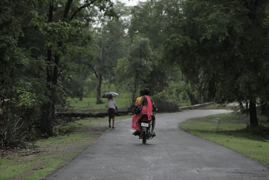 Indian Meteorological Department Cuts Monsoon Forecast — North India Faces Heatwave