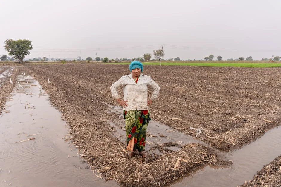 India's Delayed Monsoon Forces Farmers to Brace for Heavy Rains on Monday — Infrastructure Cities