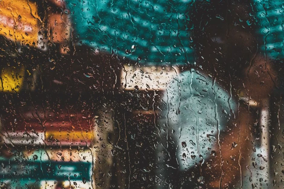 India's Monsoon Reaches North — But Delivers Less Rain Than Expected — Health Medicine