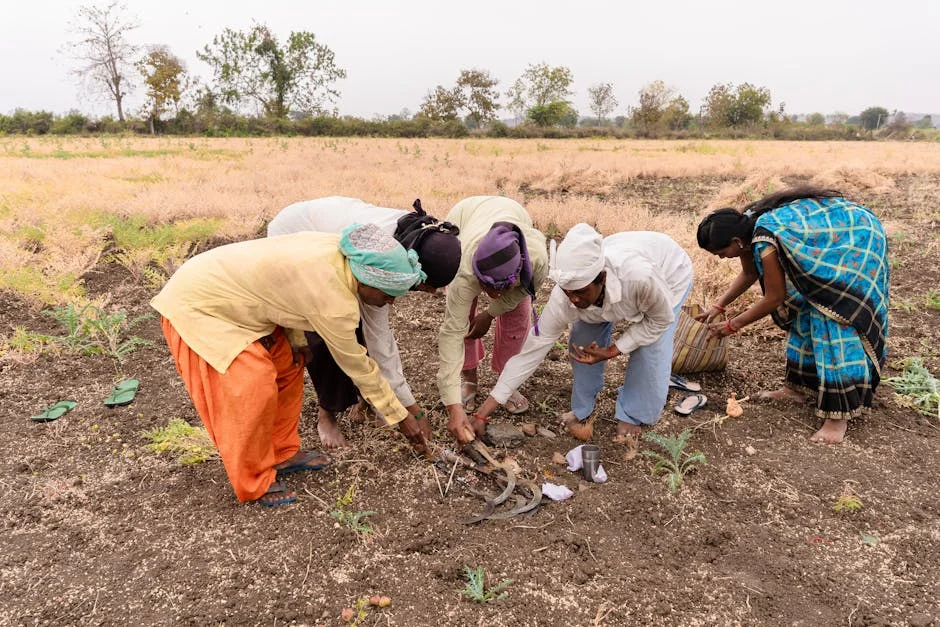 India's Onion Prices Plunge — Farmers Face Crisis