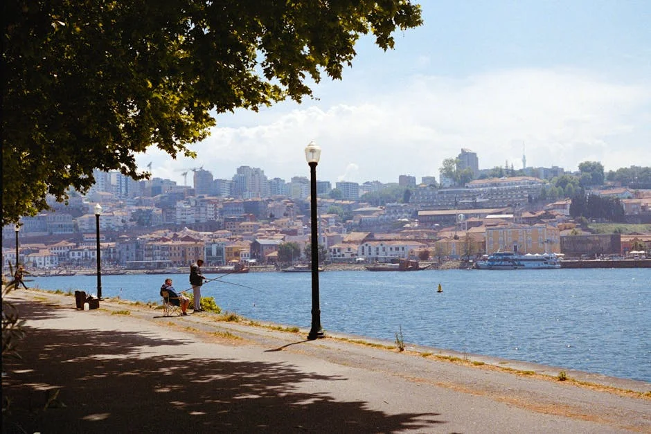Joana Shifts Douro Landscape — How Porto's Changes Impact Businesses in SG — Environment Nature