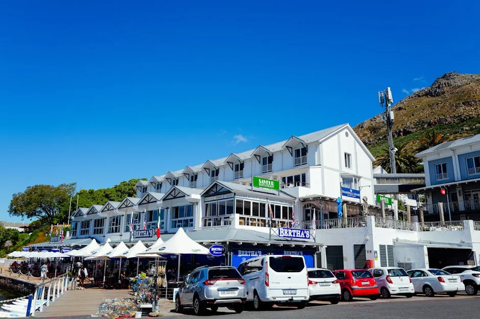 Junior Boks Launch Cape Town Rugby Festival — Tourism Revenue Spikes
