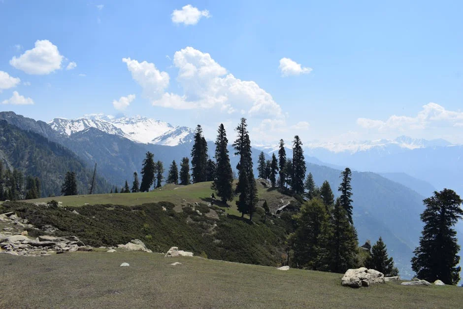 Kashmir Welcomes Tourists Back to Pahalgam After Terror Attack Fallout