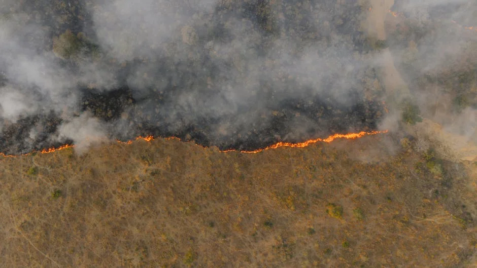 Kruger National Park Fire Sparks Tourism Crisis