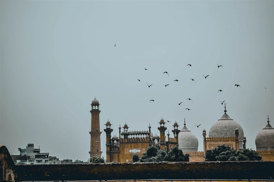 Lahore Victory Exposes Australia's Weakness — and Pakistan's Economic Ambitions