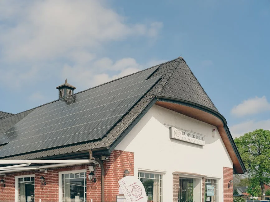 Lidl Launches £400 Solar Panels in GB Amid Energy Shift
