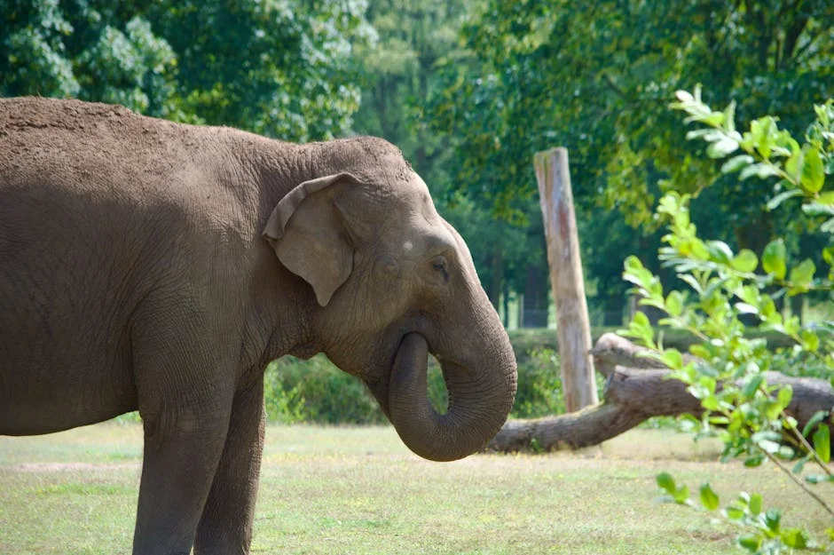 London Zoo Unveils £20m Vet Hospital — Tourism Stocks Take Note