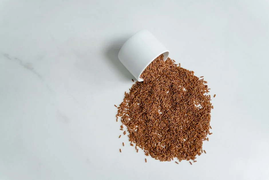 Moncompu Wins National Award for Rice Innovation