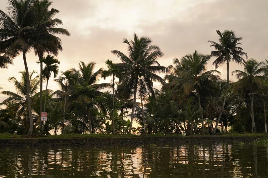 Monsoon Arrives in Kerala This Week — Why India's Markets Are Watching Closely — Sports