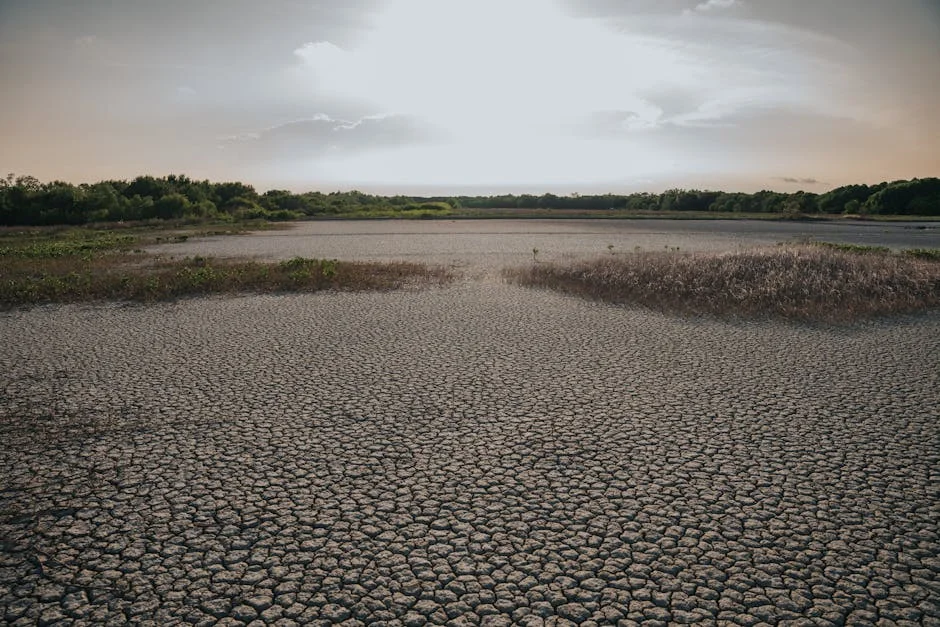 Mozambique Tackles Water Issues — Aiming for Economic Growth and Stability