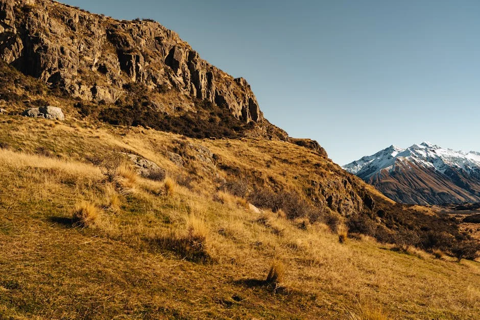New Zealand Levels Series — Sophie Devine Triggers Market Reaction