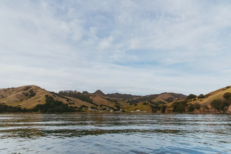 New Zealand's Super and Nacho Defy Extinction — And Spark a Conservation Investing Revolution — Technology Innovation