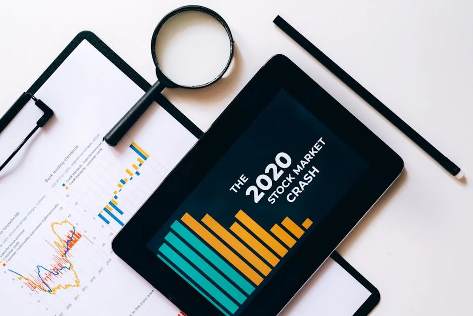 Observador Slams Government Over Economic Data Gaps