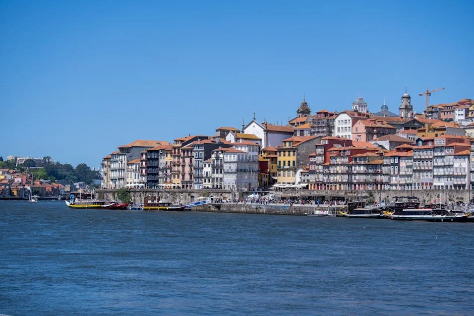 Porto Vivo Halts Development as Manuel Pureza Demands Action