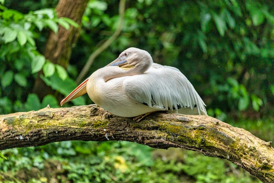 Singapore Bird Deaths Hit Record High: Real Estate Costs Rise — Technology Innovation