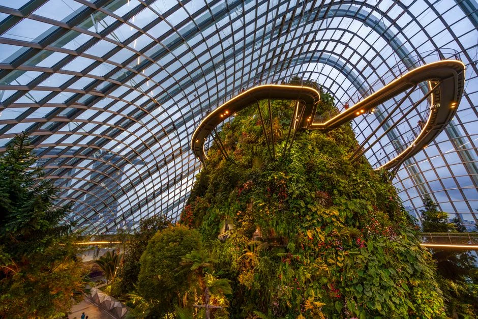 Singapore Garden Festival Reveals 8m-High Roller Coaster — And the Economic Bet Behind It — Education