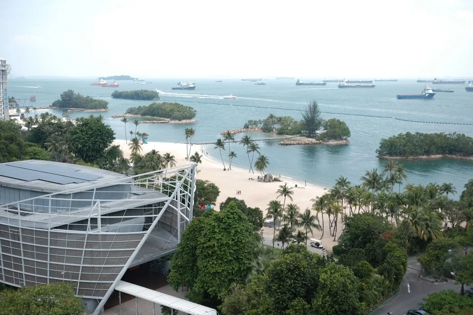 Singapore Unveils First Cross Island Line Train — Testing Set to Commence — Health Medicine